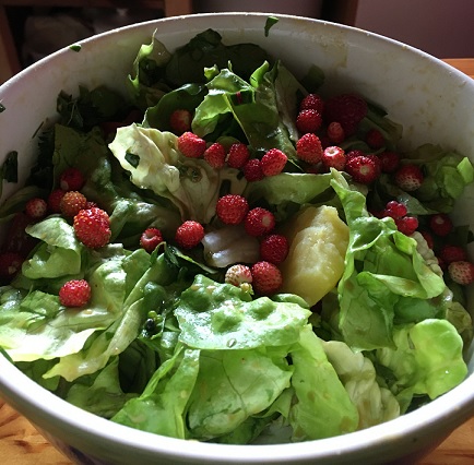 Vegetarische Küche herunterladen